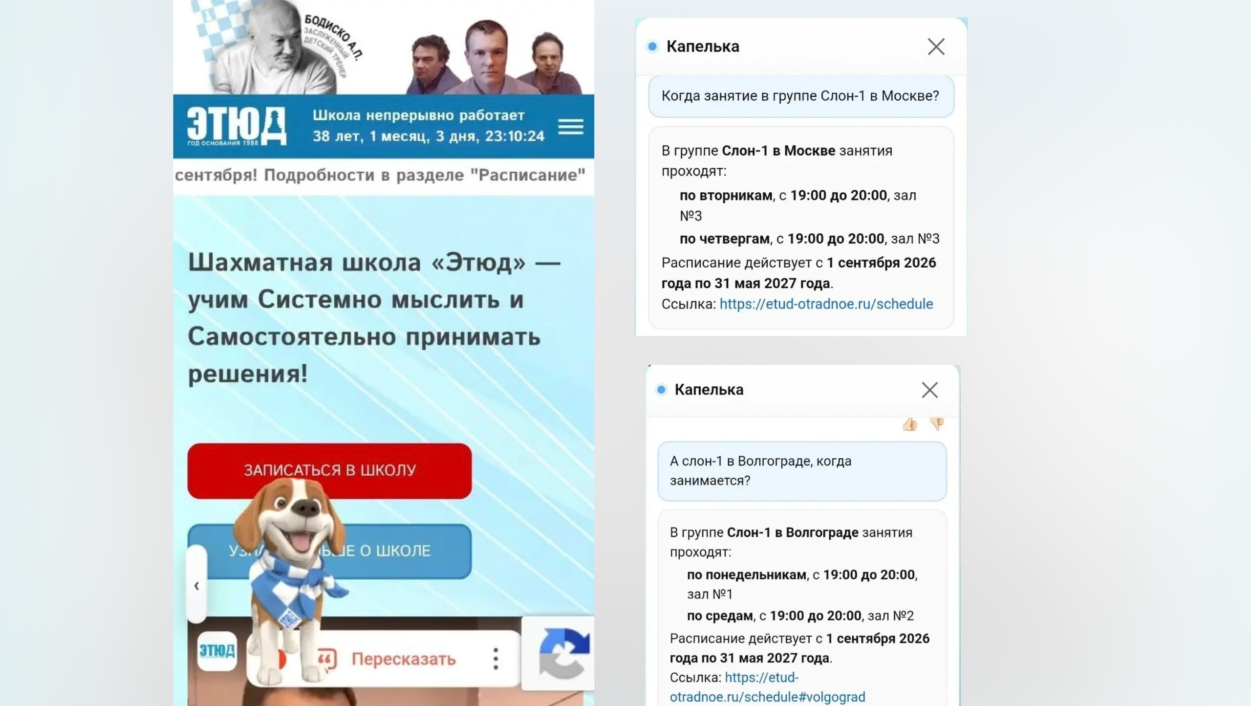 СОБАЧКА-ТАЛИСМАН КАПЕЛЬКА ВЫХОДИТ НА НОВЫЙ УРОВЕНЬ ЗНАНИЙ О ШШ 