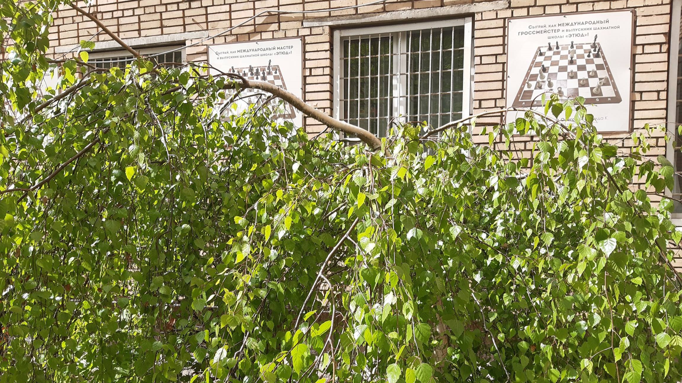 ГОРОДСКОЙ ШАХМАТНЫЙ ЛАГЕРЬ 